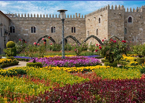 Detalle jardin