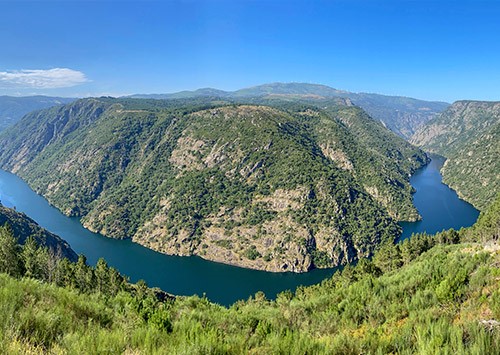 Vista